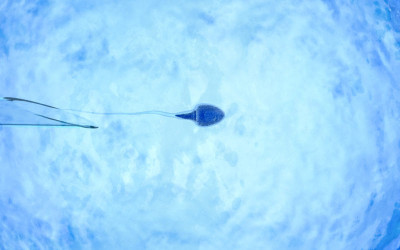 درمان ناباروری با IVF  و آنچه باید در مورد آن بدانید درمان ناباروری با IVF  و آنچه باید در مورد آن بدانید