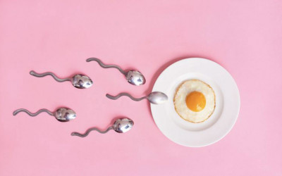 چگونه تخمک را تقویت کنیم؟