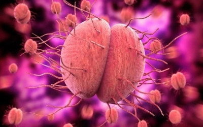 سوزاک در بارداری