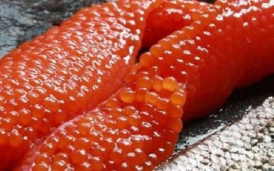 غذا با اشپل ماهی غذا با اشپل ماهی
