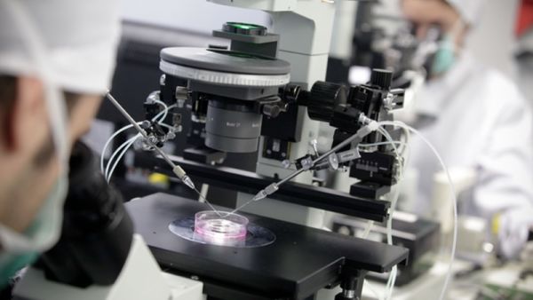 مراحل درمان ناباروری با IVF  