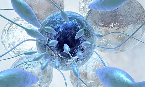 زمان درمان ناباروری با IVF  