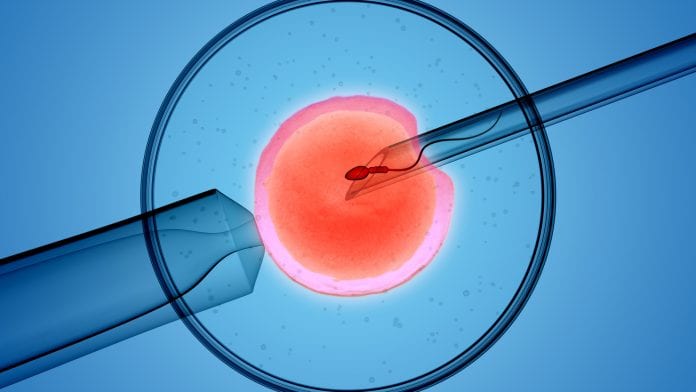 ivf