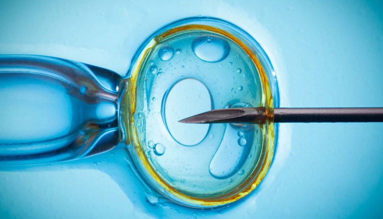 موفقیت IVF