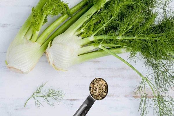 روش های غلیظ شدن شیر مادر در طب سنتی