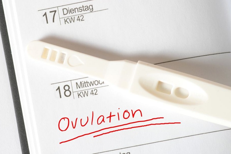 کیت پیش بینی تخمک گذاری opk